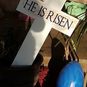 Meet your Posher, Lynne