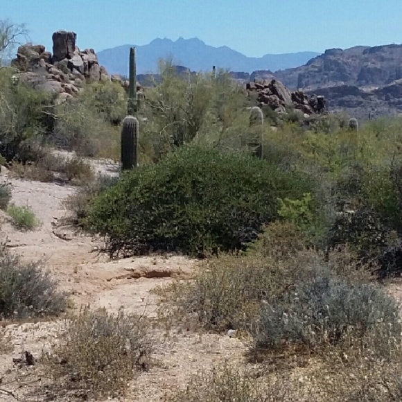 Meet your Posher, Ruth - Picture 2 of 8