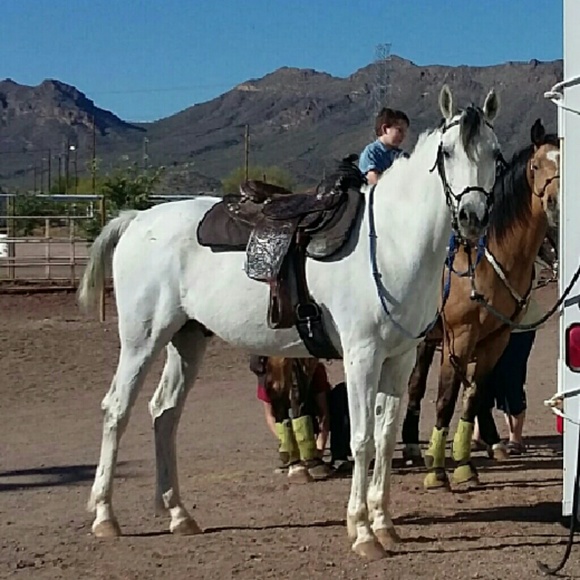 Meet your Posher, Ruth - Picture 3 of 8