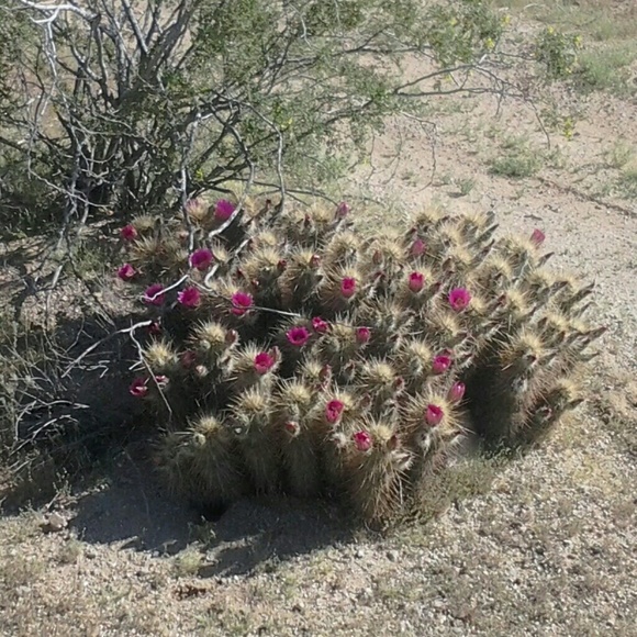 Meet your Posher, Ruth - Picture 4 of 8