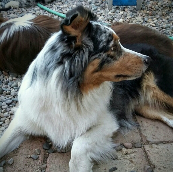 Meet your Posher, Ruth - Picture 5 of 8