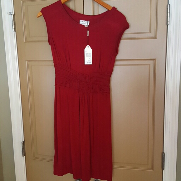 MSSP Dark red minidress