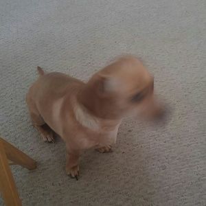 Meet your Posher, Jen