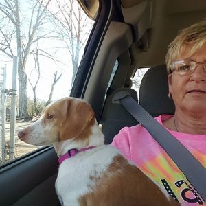 Meet your Posher, Denise