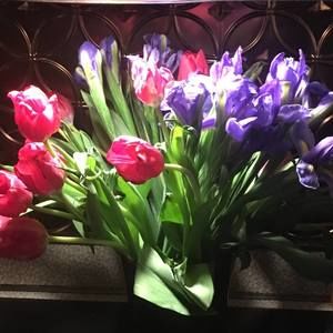 Meet your Posher, Cynthia