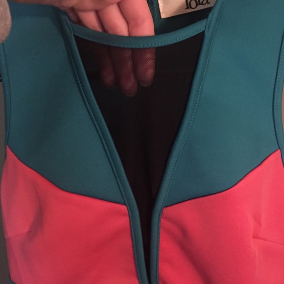 Lola color-block dress with mesh detail-worn once - Picture 3 of 4