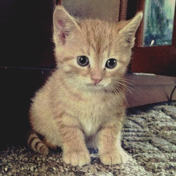 Meet your Posher, James