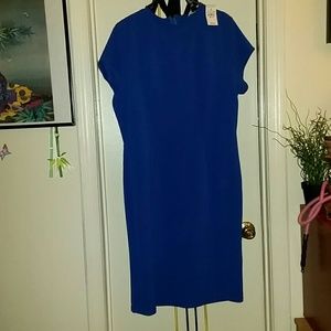 Royal Blue body con Ashley Stewart.