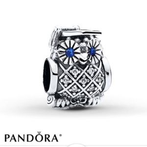 pandora charm owl graduation pandora charm owl graduation