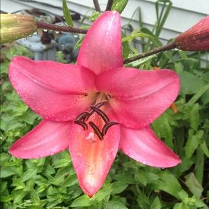 Meet your Posher, Emily