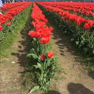 Meet your Posher, Karli