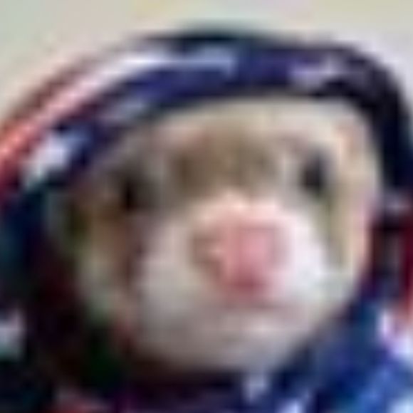 Meet your Posher, Jerilyn - Picture 1 of 1