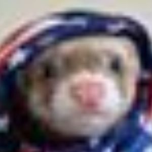 Meet your Posher, Jerilyn