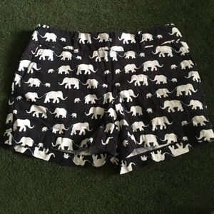 Loft shorts