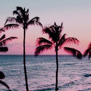 Meet your Posher, Sienna