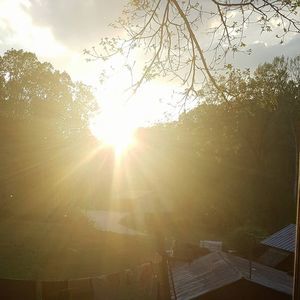 Meet your Posher, Tammy