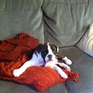 Meet your Posher, Patricia