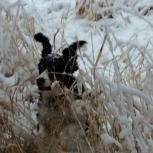 Meet your Posher, Judy