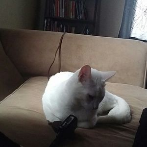 Meet your Posher, Amanda