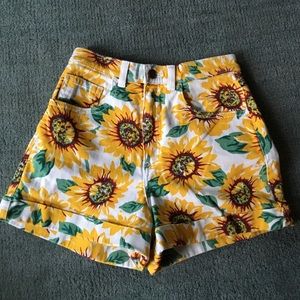 American Apparel High Waisted Shorts