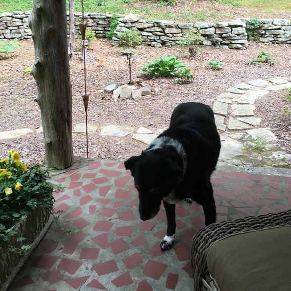 Meet your Posher, Meredith - Picture 1 of 1