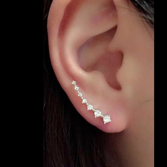 ✨NEW✨ GORGEOUS✨ MUST HAVE EARRINGS✨ - Picture 2 of 3