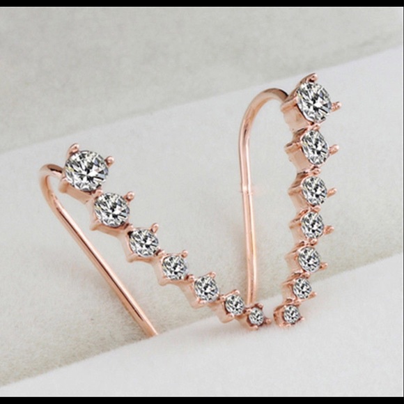 ✨NEW✨ GORGEOUS✨ MUST HAVE EARRINGS✨ - Picture 3 of 3