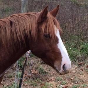 Meet your Posher, Shanell