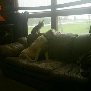 Meet your Posher, Bonnie