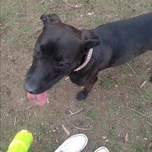 Meet your Posher, Melanie