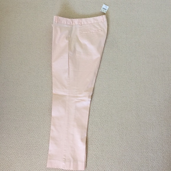 J. Crew Pant