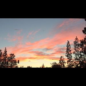 Meet your Posher, Selene