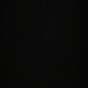 Meet your Posher, Jacquese