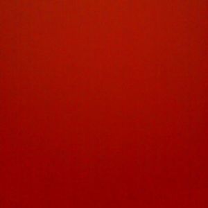 Meet your Posher, Tamia