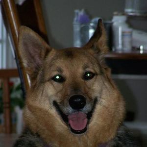 Meet your Posher, Johna