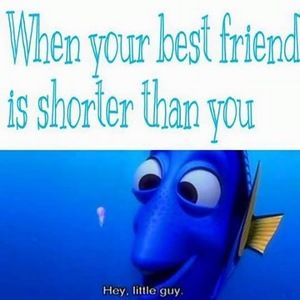 Meet your Posher, Loves