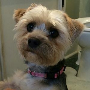 Meet your Posher, Kimberly