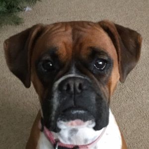 Meet your Posher, Kenzie