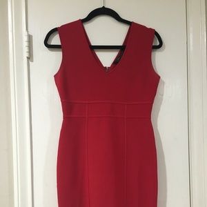 BCBG Maxazria Bodycon Dress