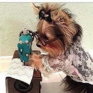 Meet your Posher, Serena