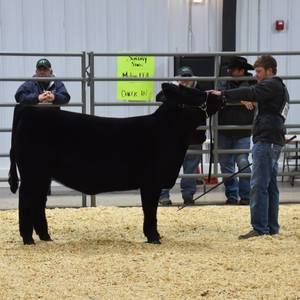 Meet your Posher, Bryce