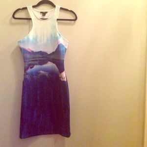 Landscape print dress , h & m