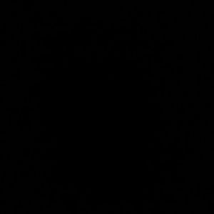 Meet your Posher, Elise