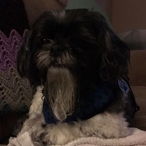 Meet your Posher, Teresa