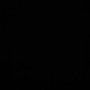 Meet your Posher, Burton