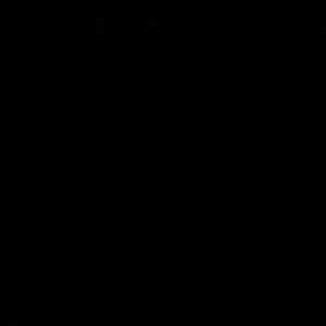 Meet your Posher, Steph