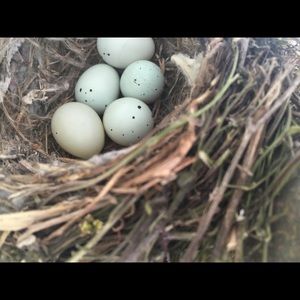 Meet your Posher, Lynn