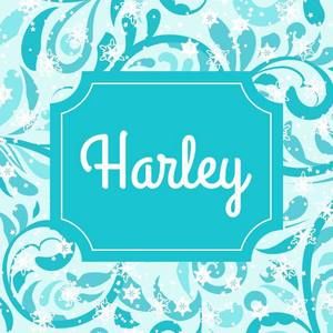 Meet your Posher, Harley