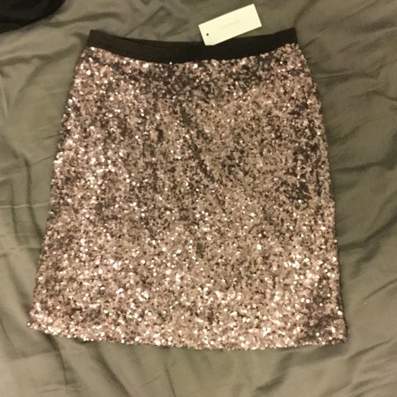 NWT Skies are Blue Sequin skirt
