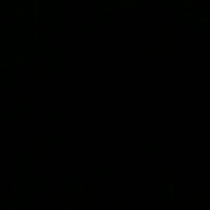 Meet your Posher, Ray